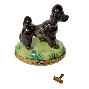 Black Poodle with Removable Grooming Tool Limoges Porcelain Box