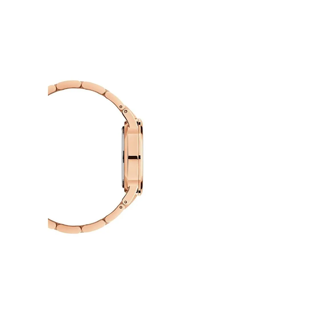 Daniel Wellington Green Dial Women Analogue Watch - DW00100420