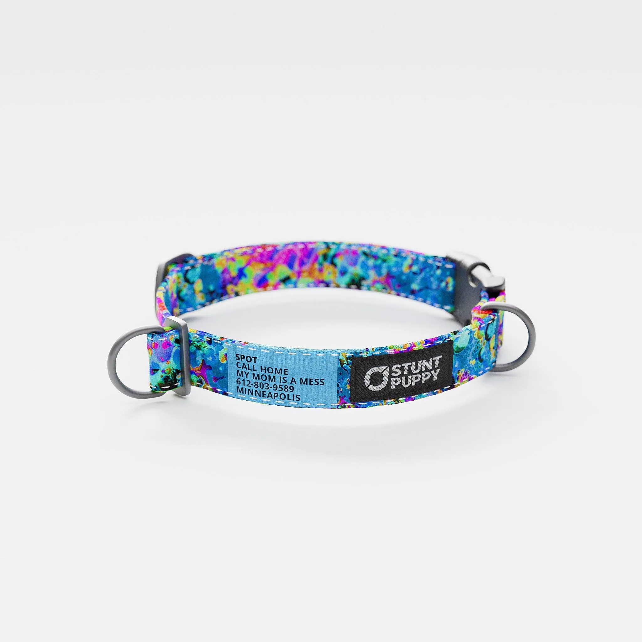 Jammin Sea Visions Everyday Collar