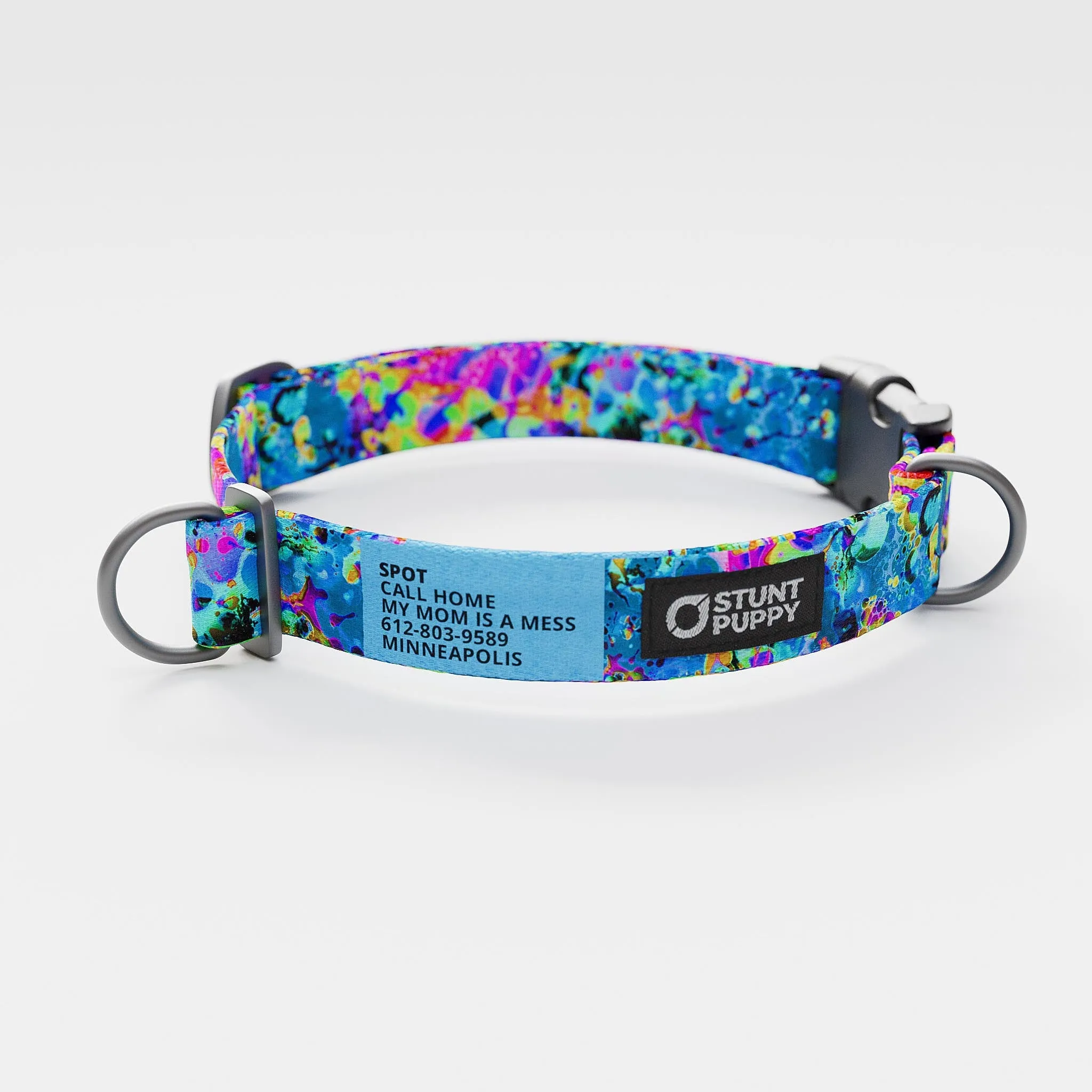 Jammin Sea Visions Everyday Collar
