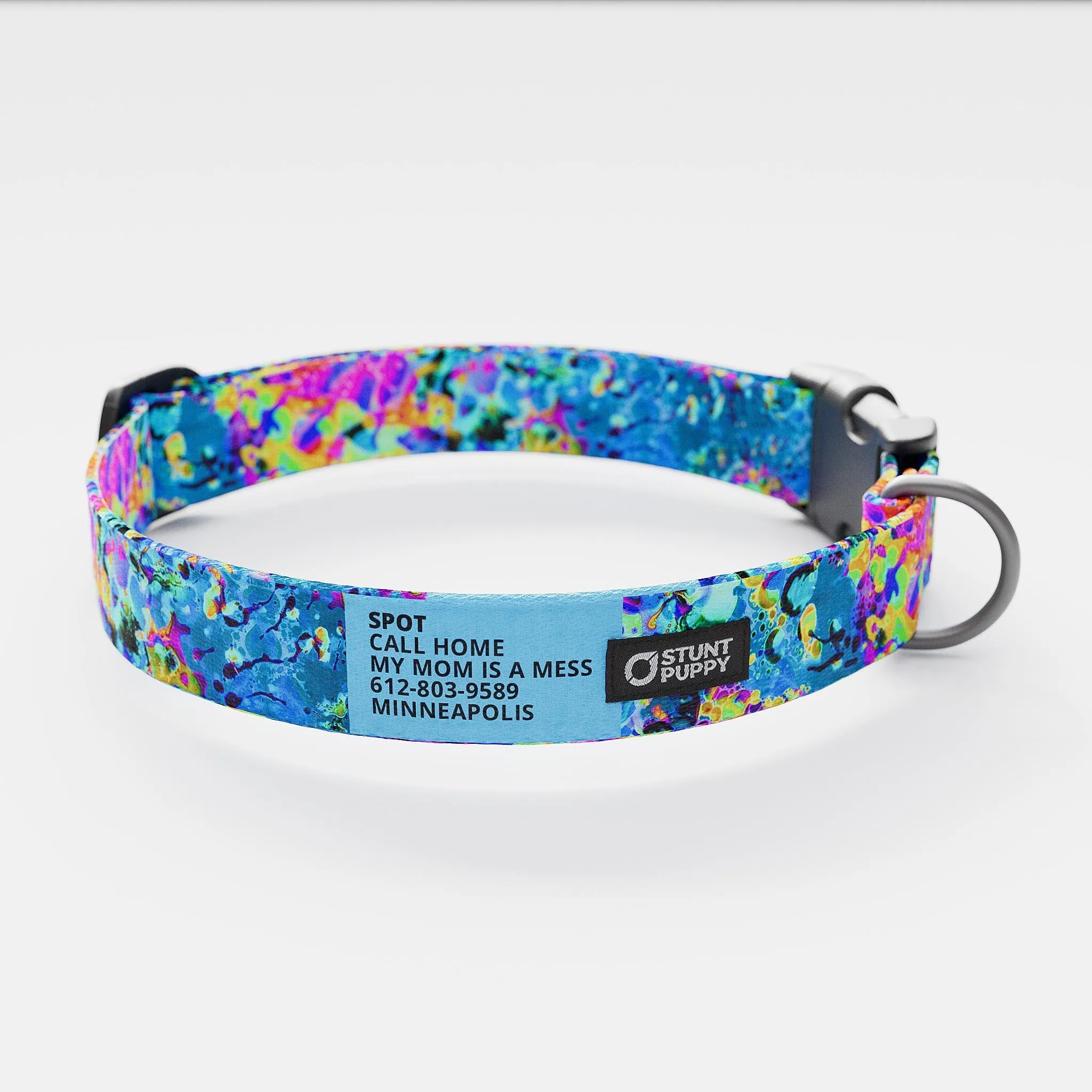 Jammin Sea Visions Everyday Collar