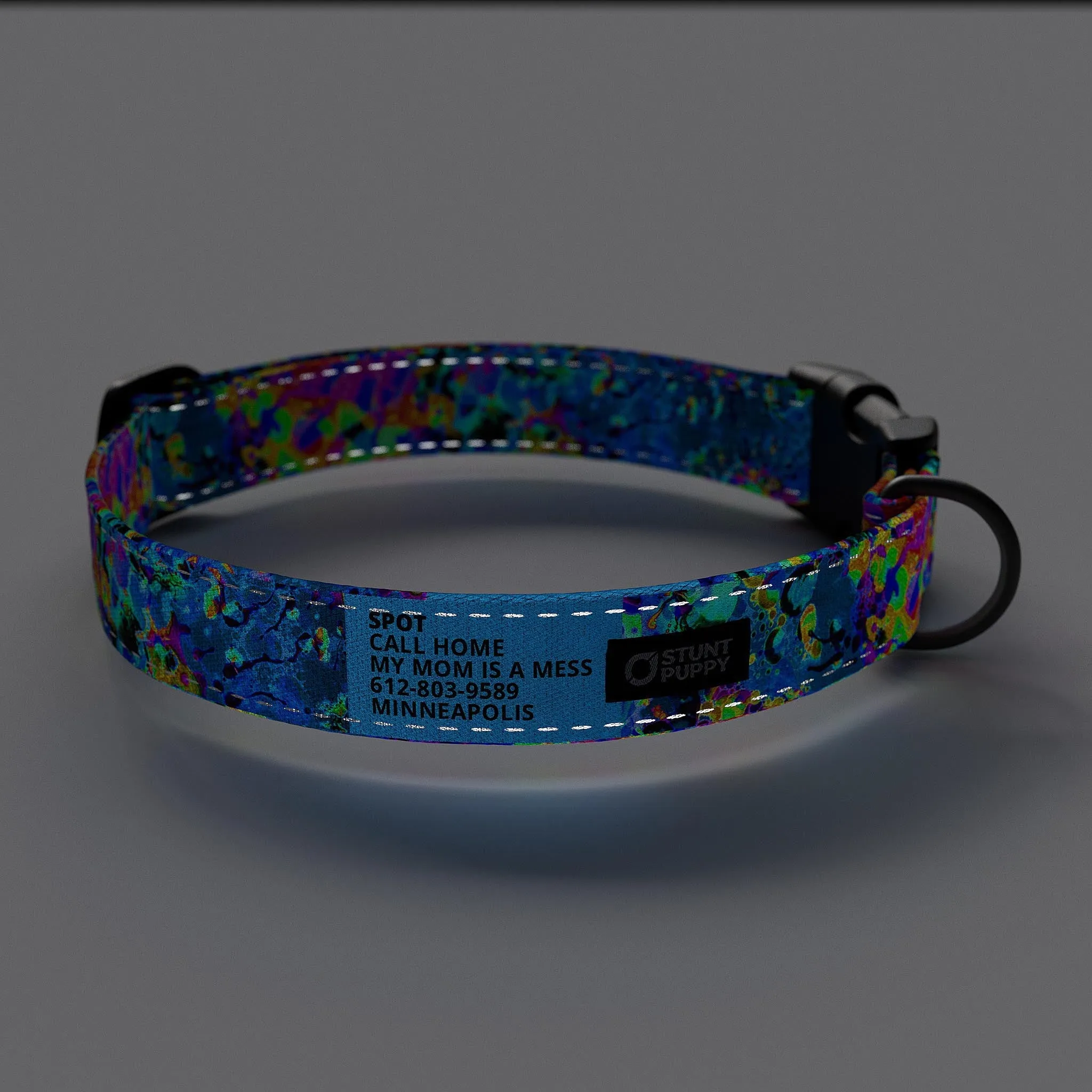 Jammin Sea Visions Everyday Collar