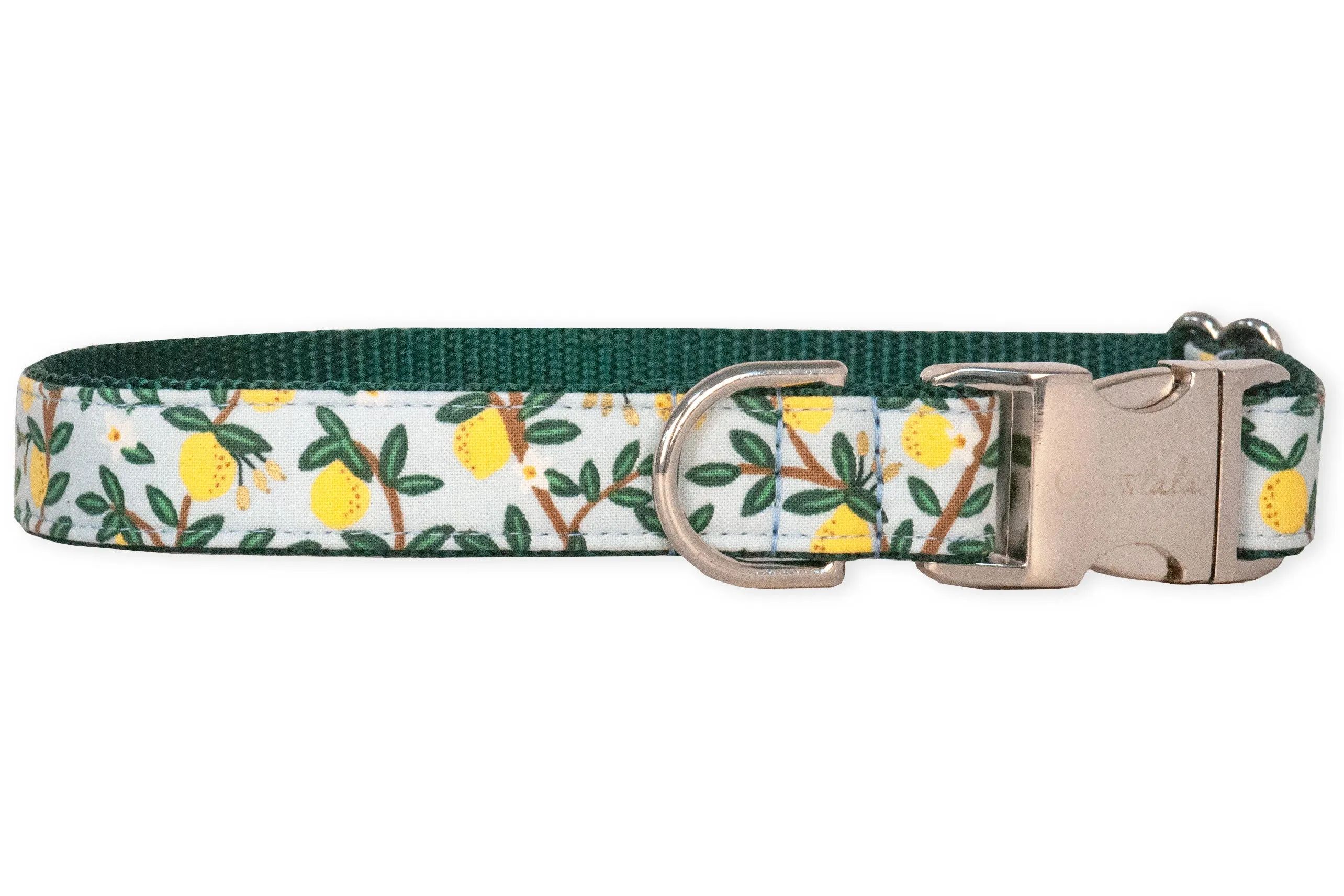 Lovely Lemon Bow Tie Dog Collar - Two Styles