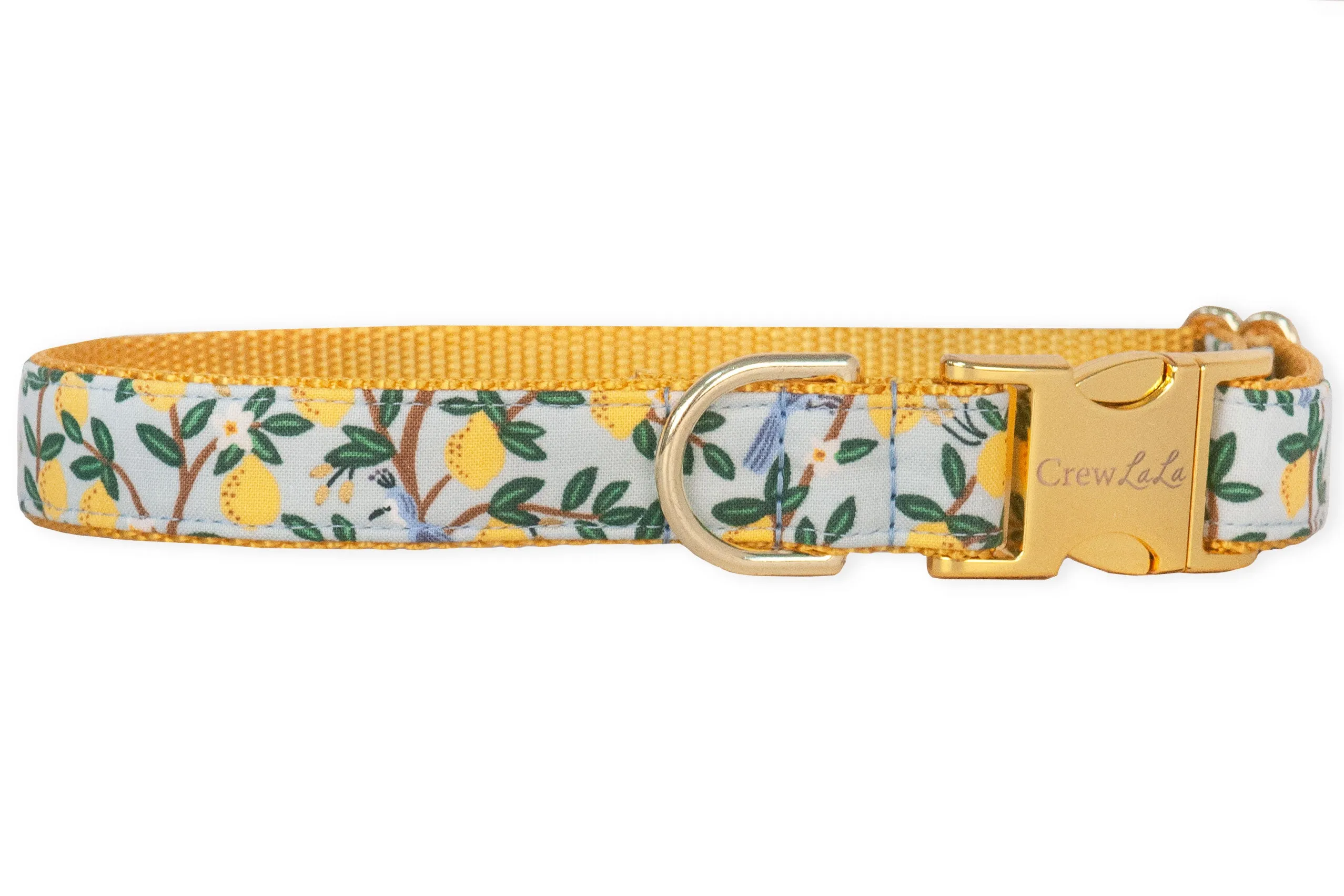 Lovely Lemon Bow Tie Dog Collar - Two Styles