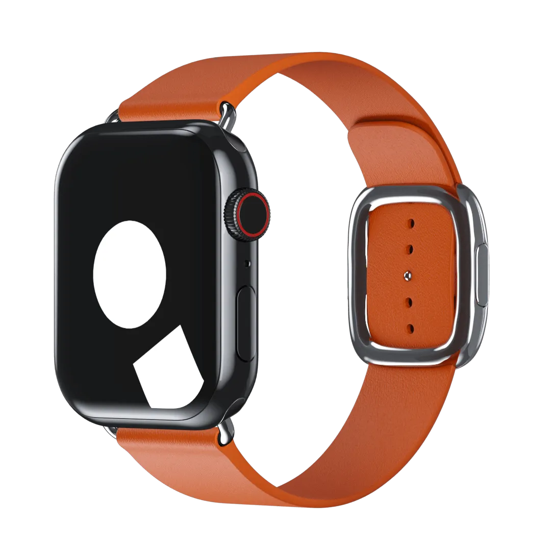 Sunset Modern Buckle for Apple Watch