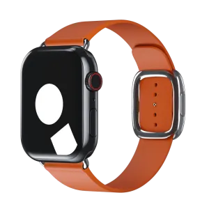 Sunset Modern Buckle for Apple Watch